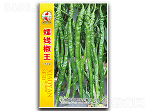 �ݾ�����-�����N��-ʒ�зN�I