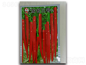 ���L��̖-�����N��-ʒ�зN�I