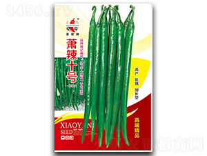 ʒ��ʮ̖-�����N��-ʒ�зN�I