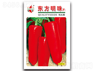 �|������-�ݽ��N��-ʒ�зN�I