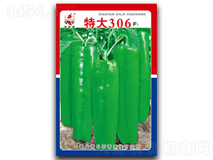 �ش�306-�ݽ��N��-ʒ�зN�I