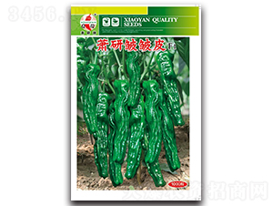 ʒ�а���Ƥ-�ݽ��N��-ʒ�зN�I