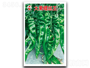 ����ݽz��-�ݽz���N��-ʒ�зN�I