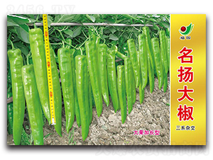 ���P��-�����N��-ʒ�зN�I