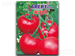 ����ʯ-���ѷN��-�V��