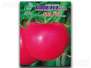 �����R��-���ѷN��-�V��