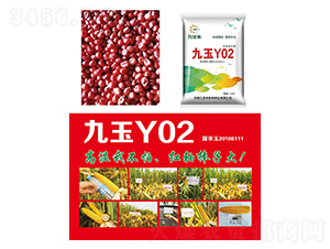 玉米種子-九玉Y02-研創(chuàng)種業(yè)