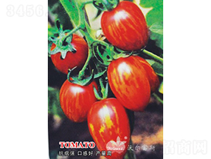 �ʼtһ̖F1���t�S���y��ɫС���ѣ�-���ѷN��-�֠���˹