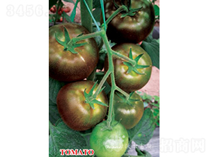 ��õ��F1����ɫ���ѣ�-���ѷN��-�֠���˹