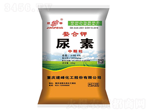 ���������-¡���r(n��ng)�Y