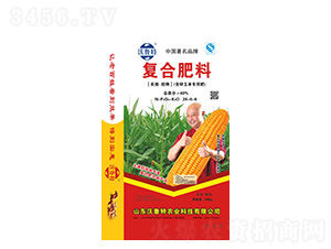 �ͺϷ���(���\���׌��÷�)28-6-6-������