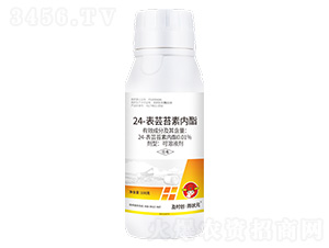 24-���|̦�؃�������Һ��100g-���r�������Ԫ-���r��