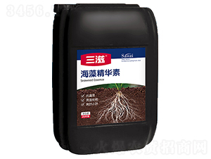 ���徫�A��-����-�G���� 