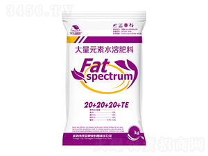 ����Ԫ��ˮ�ܷ���20-20-20+TE-��|ֲ��-ʥ��ʘI