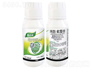 40%ϩ������˪��Ҹ���-˪����-���r��̩