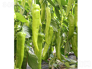 37-74-�����N��-���r�r�I