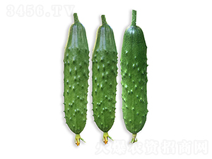 ���r�G��8̖-�S�ϷN��-���r�r�I