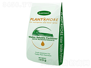 ���|����-��������