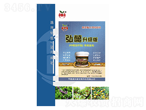 �~��Ϳ�U�Ͱ��������-��������