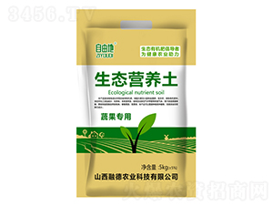 �߹��������B�I�B��-���ɵ�-�ڵ��r�I