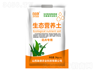 ���܌������B�I�B��-���ɵ�-�ڵ��r�I