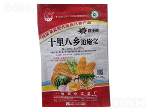 十里八鄉(xiāng)追施寶-景陽岡