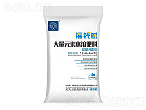 ΢��Ԫ���ʹ���Ԫ��ˮ�ܷ�12-6-40+TE-�u�X��-�r�I���a