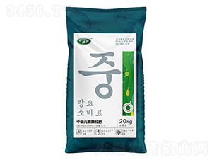 ����Ԫ���w����-��߃-���W�׶�