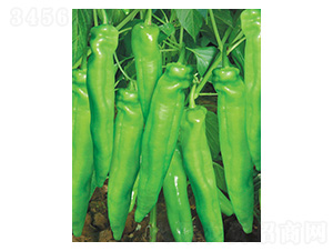 ؐ��958-���r����