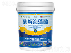 ΢¶-ø�⺣����-���컯�r�Y