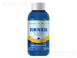 ƿ�b΢¶-ø�⺣����-���컯�r�Y