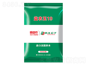 ���r��19-���׷N��-���r�N�I