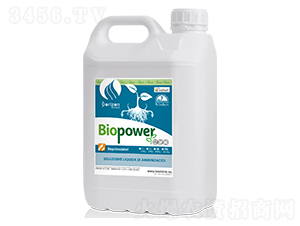 ����̼���-�ۏ�(qi��ng)��-�����m��