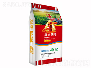 40kg�ͺϷ���17-17-17-�Ʒ廯��