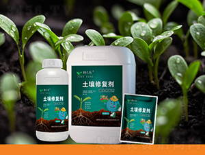 �����ޏ̈́�-�~֮��-�~������