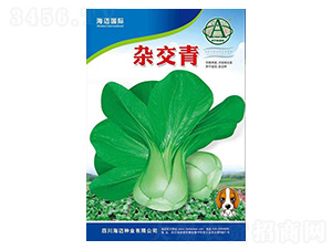 �s����-С��˷N��-���~���H