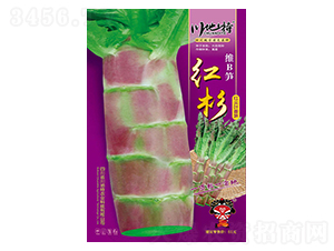 �SB�S�tɼ-��S�N��-������