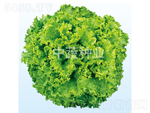 ������-���˷N��-���߷N�I