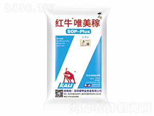 �tţΨ����-�����r�I