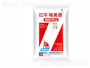 �tţΨ����-�����r�I(y��)