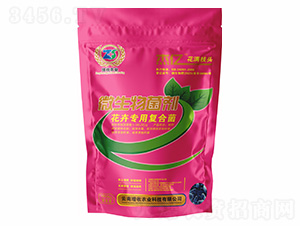 ���܌��ÏͺϾ�-�܃|���M֦�^-�����r�I