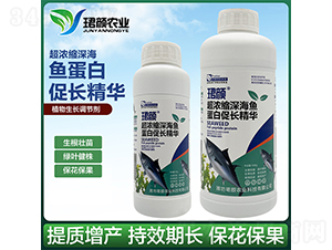 ����s��~(y��)���״��L(zh��ng)���A-�B��r(n��ng)�I(y��)