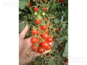 �ᭇ��CT2001�����ҷ��ѷN��-�A���r�I