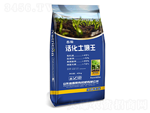 �������-��ԭ