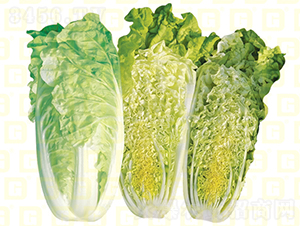 �����[����z�װײ�-�¸߽�z��121-��ײ˷N��-�¸߷N�I(y��)