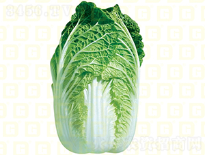 ������ײ�-�¸߸�ɽ��-��ײ˷N��-�¸߷N�I