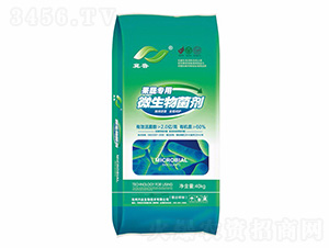 ���ߌ���΢�������-�����ʘI