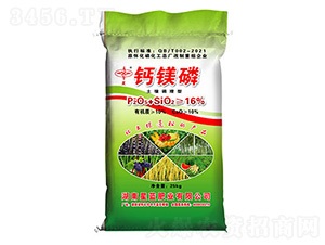 �����{�����}�V��-���{�ʘI(y��)