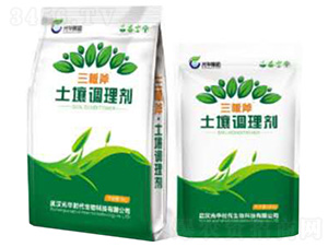 ���師�����{�턩-���A�r��