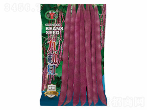 �����t-�Z���_